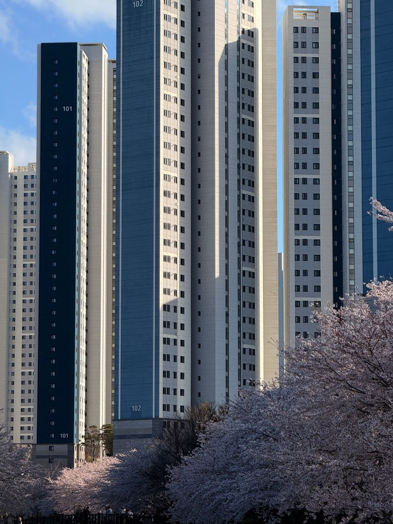 Step-by-Step: Korea Business Registration Process